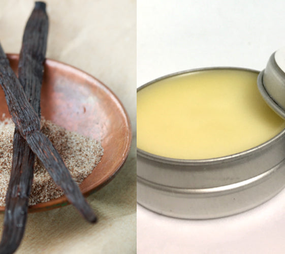 Aviva Pure Organic Nourishing Coconut Vanilla Lip Balm- Protects Lips